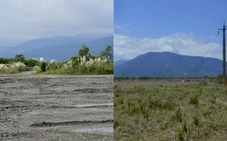 財部近百公頃土地「種碳權」  2024年首季招商助淨零