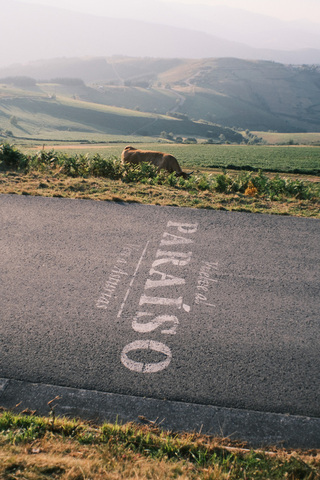 西班牙西北高鐵施工19年終營運 啟動政經新局面