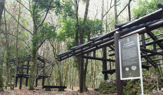 台中獵人登山步道奪金質獎  泰雅文化兼具生態體驗