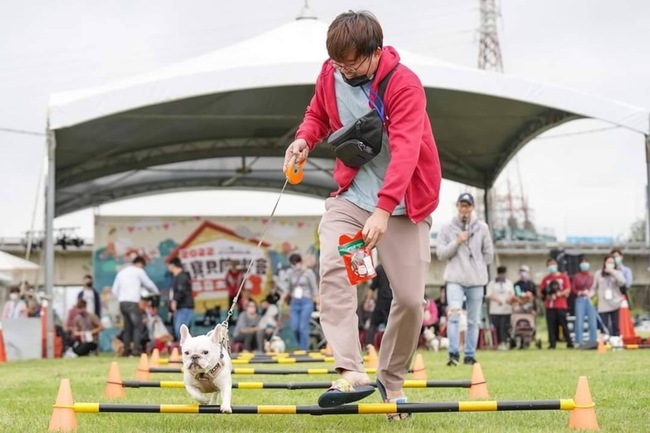 竹市毛小孩運動會12/9登場  萌犬齊聚趣味競賽 | 華視新聞