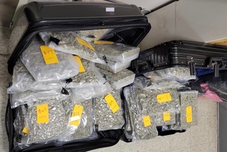 港男轉機涉運毒洗出發地  航警攔截查獲大麻送辦