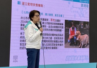 侯友宜稱白小雞邀站台 黃珊珊：不知是否在幻想