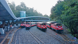 2024元旦阿里山林鐵觀日列車 12/11日起開始預售