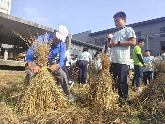 農糧署推食米教育遊程 學子樂堆草垺新鮮體驗 | 華視新聞