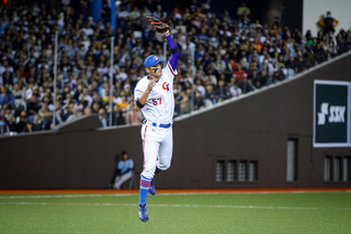 亞錦賽戰況激烈求慎重 10日決賽採重播輔助判決