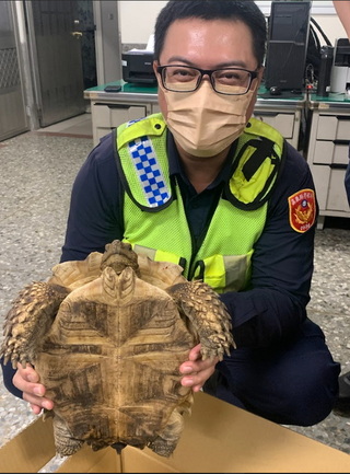 象龜蹺家險遭路人放生  嘉警及時助飼主找回