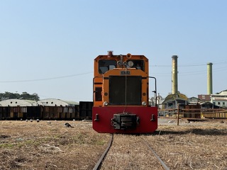 迎甘蔗採收期  全台僅存五分車啟航穿梭雲林田間