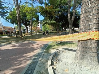 員林公園3女遊客遭砍傷  男子自殘被員警制伏