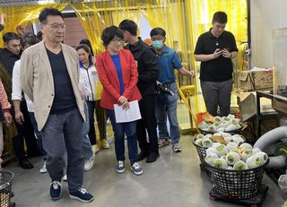 台東鳳梨釋迦被檢出害蟲 趙少康：盼對岸勿吹毛求疵