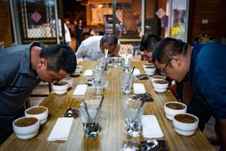 從育種到杯測  台灣咖啡莊園的品牌路