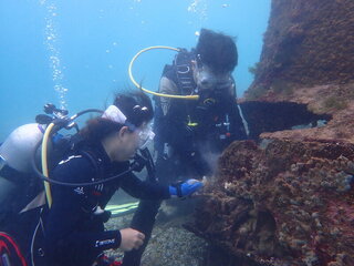 綠島海岸不明重油污染 監獄收容人支援清理