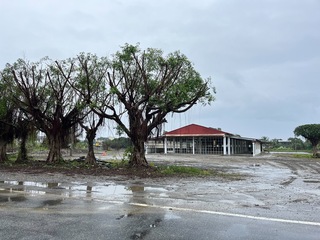 花蓮老字號花園歇業 轉型快樂農園開放民眾使用