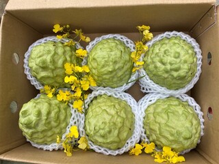 釋迦產量減品質不打折 農糧署推薦送禮好選擇