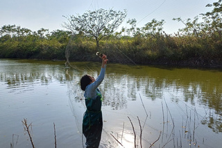 台南魚塭私設防鳥網 野鳥卡網3死6傷