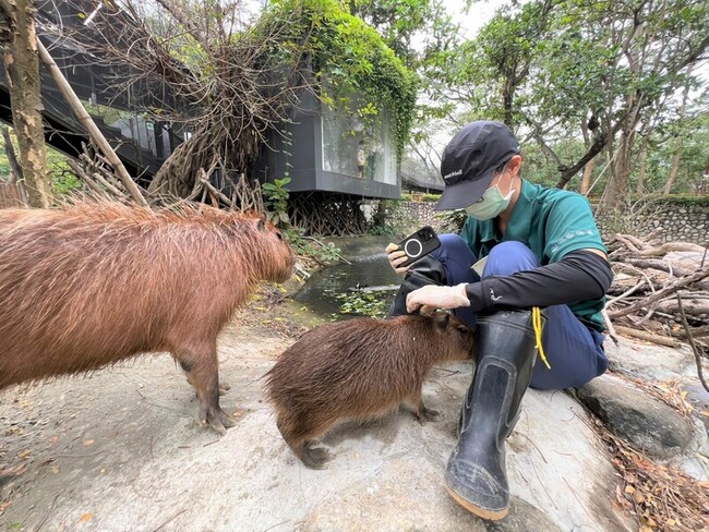 高雄壽山動物園保育員待遇  113年元旦起分級調升 | 華視新聞