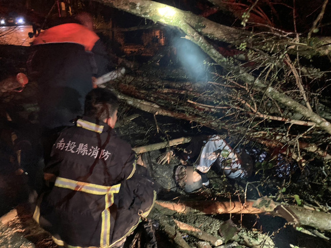 南投埔里台灣地理中心碑樹木突傾倒  3人遭壓傷 | 華視新聞