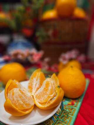 大馬媒體盛讚台灣椪柑 品種口感和中國不同