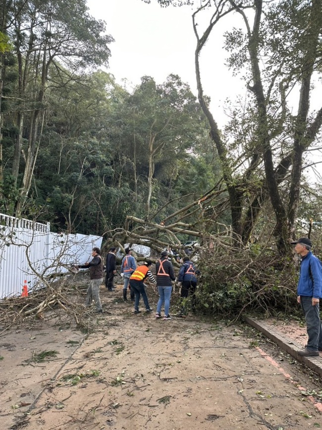 台灣地理中心碑樹倒壓傷4長者 日管處停工檢查 | 華視新聞