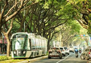 高雄輕軌賀成圓 元旦春節出遊免費搭乘