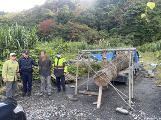 宜蘭男竊17萬元紅檜漂流木藏河床 警連夜埋伏逮正著