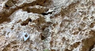 墾丁香蕉灣礁岩遭釘掛勾攀岩 墾管處調查開罰