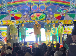 游錫堃盼民進黨國會過半 支持總統也續推國會外交