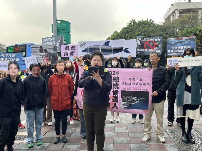 動團籲總統候選人接軌國際  禁止鯨豚表演、圈養 | 華視新聞