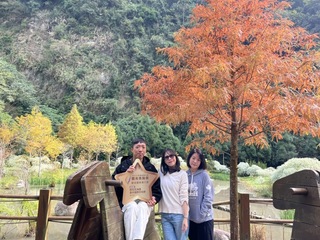 台中新社冬季花卉綻放 4景點拍照上傳可抽獎