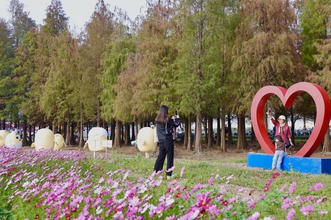 台南六甲落羽松轉紅  繽紛開幕賞美景 | 華視新聞