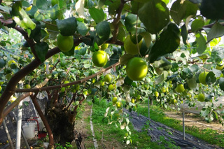 寒流將南下 台南整備適時啟動弱勢關懷