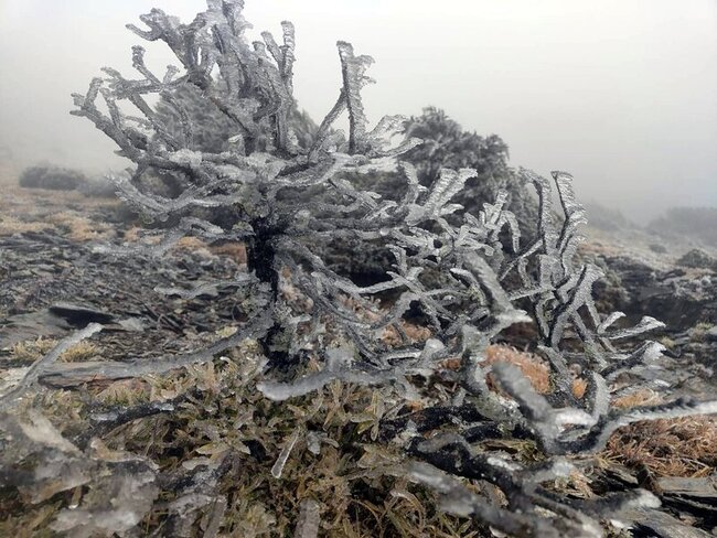 嘉明湖山屋雪花夾雜冰霰 山友期待冰封湖面美景 | 華視新聞