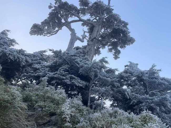 屏東北大武山稜線現夢幻霧淞 入山留意步道濕滑 | 華視新聞