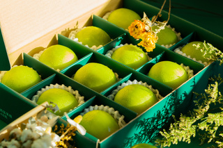 台南蜜棗採收逢年節 搶攻送禮及日本市場