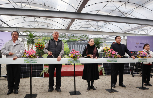 光電溫室種蔬菜  花蓮吉安鄉示範場啟用 | 華視新聞