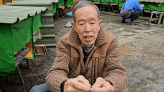 低溫持續發威  基隆農場蜂箱穿「外套」禦寒