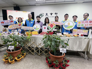 台中農改場育成2款豐產甜椒 未來種子不靠進口