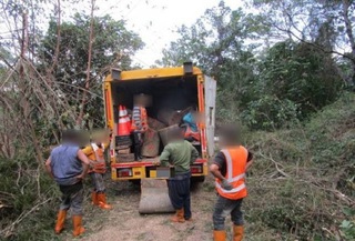 工人修剪路樹趁機竊取國有相思木變賣  7嫌送辦