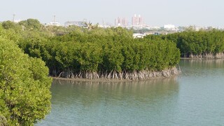 海委會完成「藍碳方法學」文件 提交環境部審查