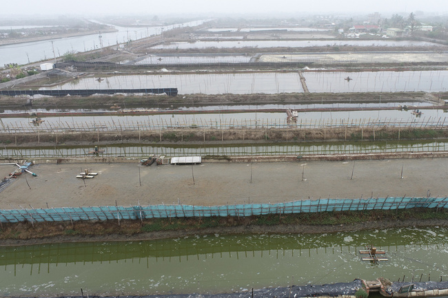 寒流來襲 台南養殖水產保險47件獲理賠 | 華視新聞