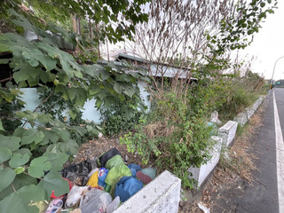 杜絕登革熱等環境髒亂  屏東112年裁罰近300萬