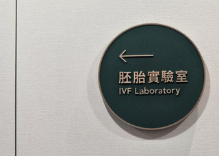 開放單身及同性伴侶人工生殖 醫：生育是基本人權