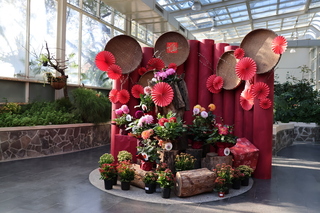 科博館新春花展迎喜氣 生肖名字有龍走春免費