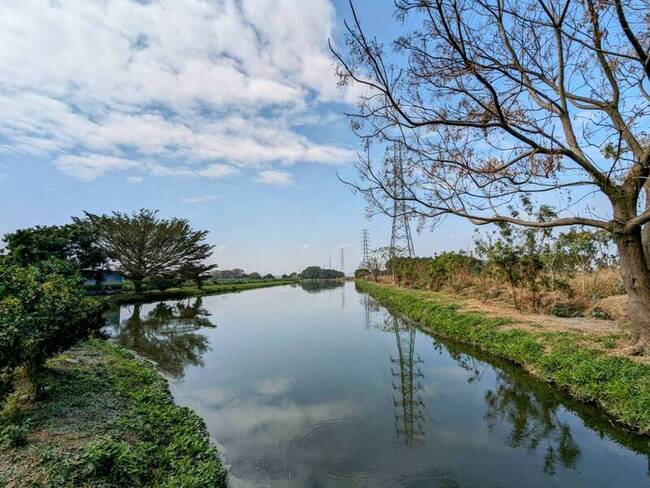 屏東萬年濕地群評為重要濕地 跨出生態保育里程碑 | 華視新聞