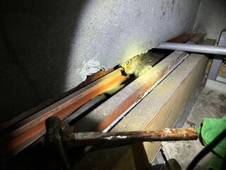 貓受困銀行牆壁內夾縫數日 新北動保處破牆救出