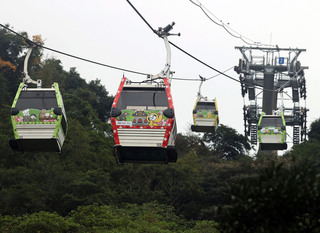 貓纜換新裝 「共ㄉㄨ拉」、麻吉貓陪伴過新年