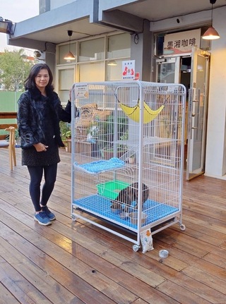 苗縣多元管道推動認養  6愛心小站助毛孩找新家