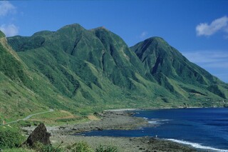 研究：蛇類無龜蛋改食蜥蜴蛋 蘭嶼爬行類瀕臨滅絕