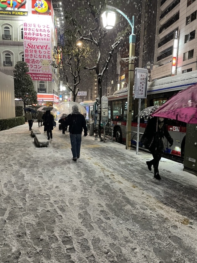 東京大雪警報各地積雪 降雪隔天學企鵝走路更安全 | 華視新聞