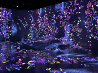 東京旅遊新景點 麻布台之丘teamLab於2/9開幕