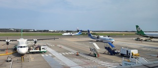 春節連假首日 澎湖海空疏運順暢